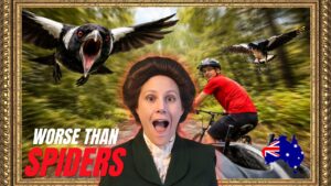 The Secret Reason Australians Don’t Fear Spiders